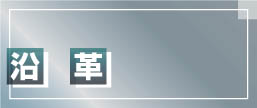 ���v