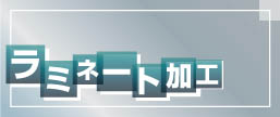 ���~�l�[�g���H